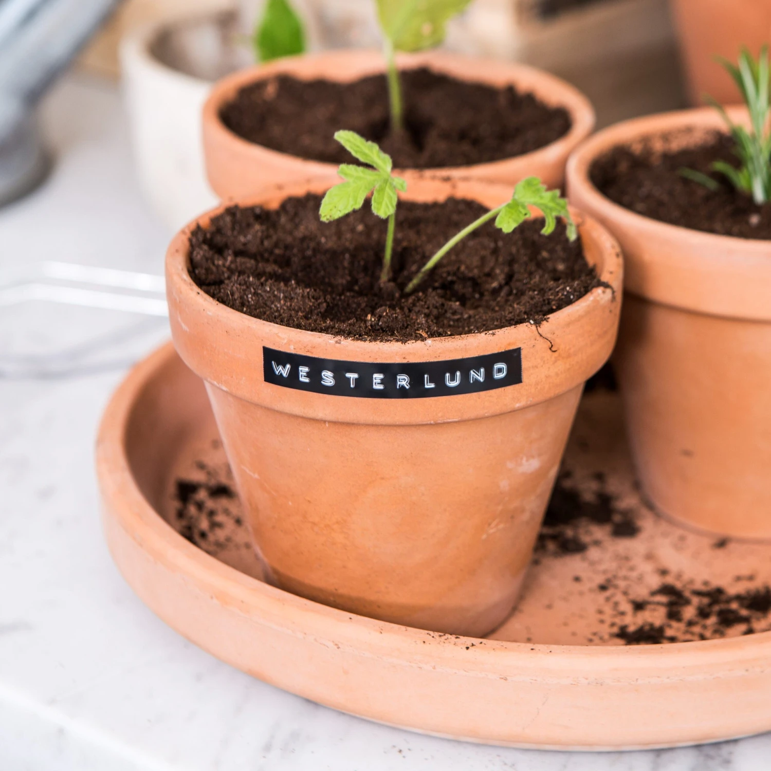 Etikettendrucker Dymo Schwedisch 4 Etikettendrucker Dymo Schwedisch – Bild 2