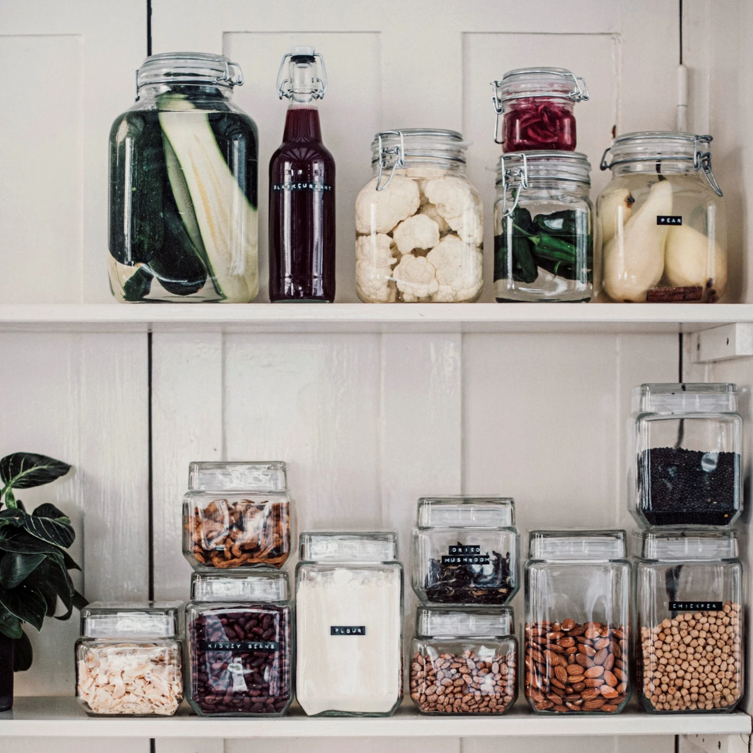 Glasdose 4L 7 Glasdose 4L – Bild 5