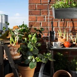 Balkonkasten Zink 11 Balkonkasten Zink -Einrichtungsgeschäft 301791 12847