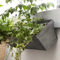 Balkonkasten Zink 10 Balkonkasten Zink -Einrichtungsgeschäft 301791 14817