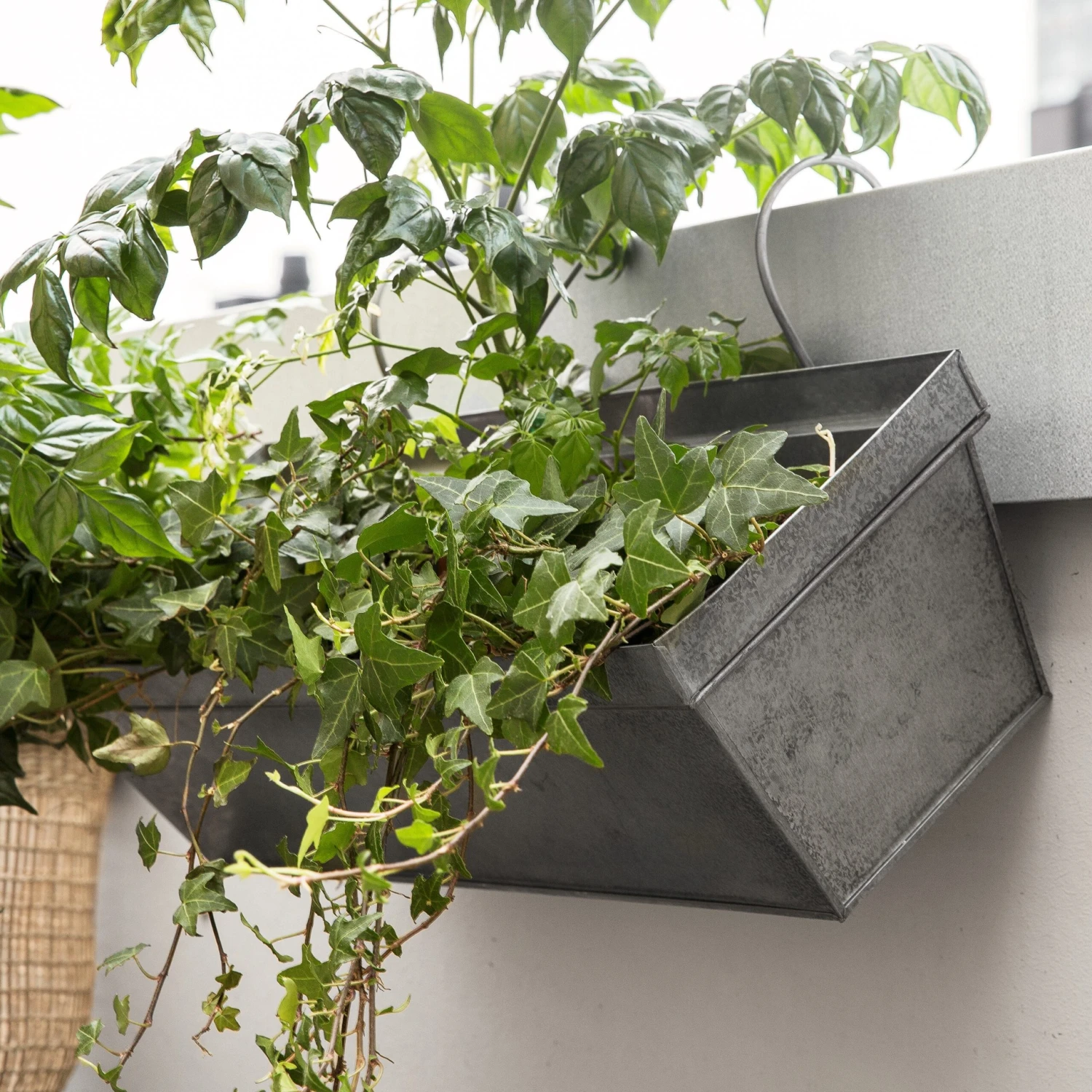 Balkonkasten Zink 5 Balkonkasten Zink – Bild 3