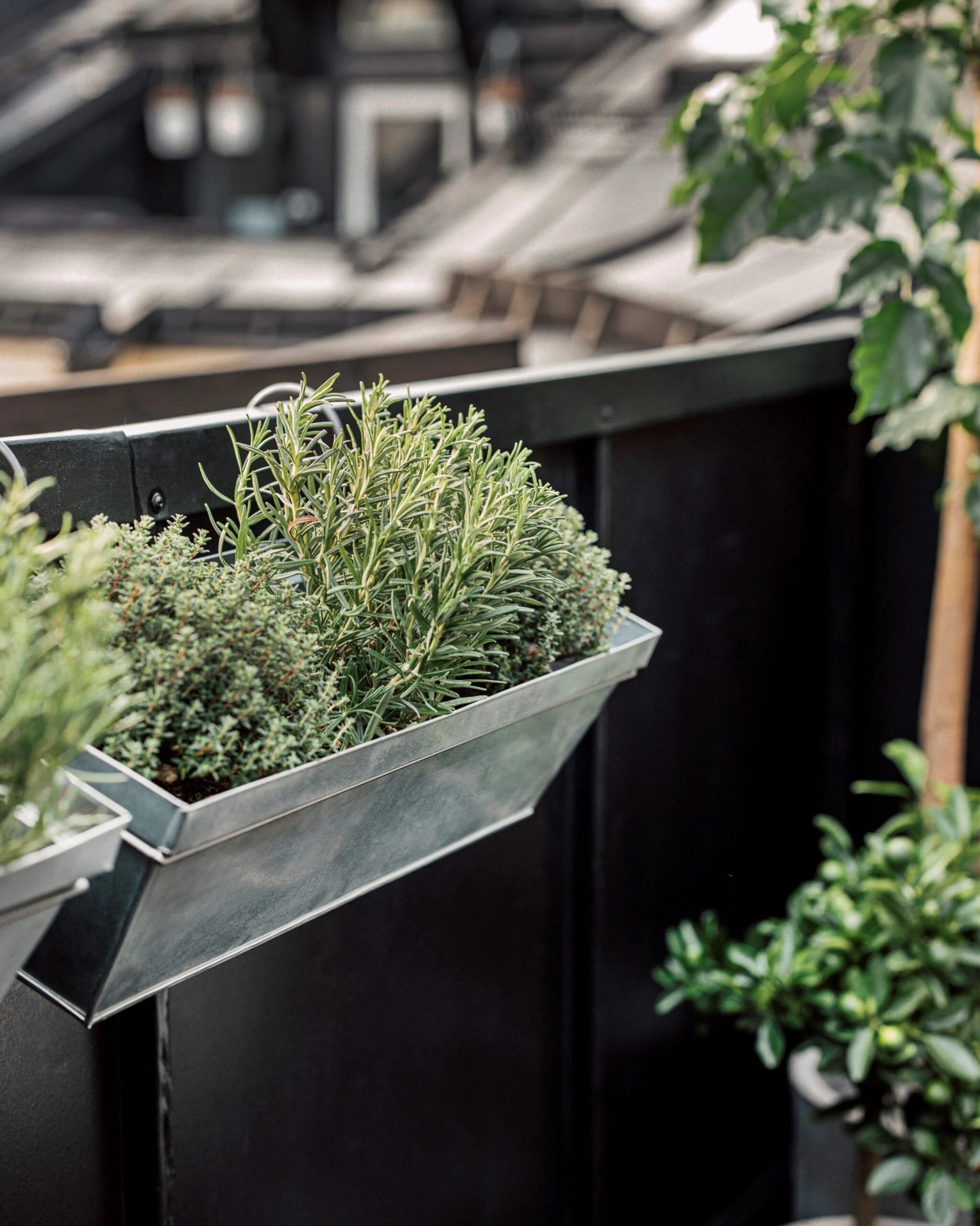 Balkonkasten Zink 8 Balkonkasten Zink – Bild 6