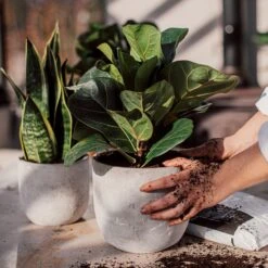 Blumentopf Beton Rund Ø15cm -Einrichtungsgeschäft 302143 25172