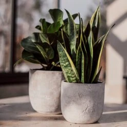 Blumentopf Beton Rund Ø15cm -Einrichtungsgeschäft 302143 25174