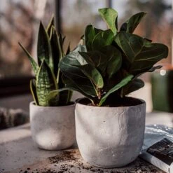 Blumentopf Beton Rund Ø19cm -Einrichtungsgeschäft 302145 25173 1