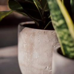 Blumentopf Beton Rund Ø19cm -Einrichtungsgeschäft 302145 25175 1