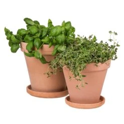 Blumentopf Terrakotta Ø18cm -Einrichtungsgeschäft 371269 5189