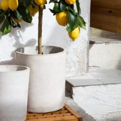 Blumentopf Beton Zylinder Ø18cm 10 Blumentopf Beton Zylinder Ø18cm -Einrichtungsgeschäft 371961 12950 1