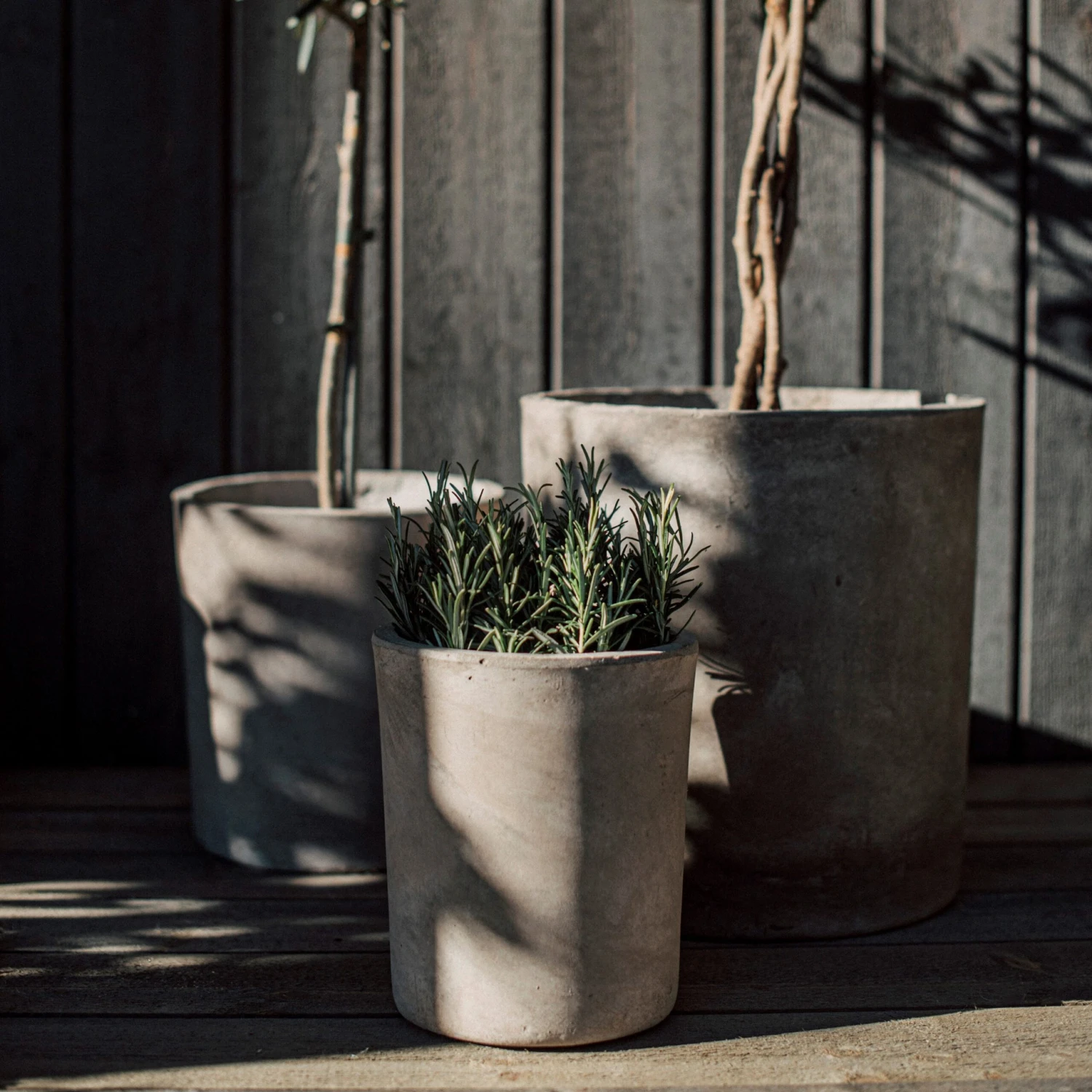 Blumentopf Beton Zylinder Ø18cm 8 Blumentopf Beton Zylinder Ø18cm – Bild 6