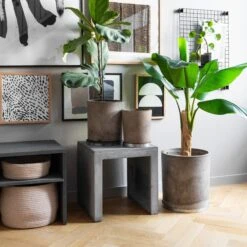 Blumentopf Beton Zylinder Ø24cm 12 Blumentopf Beton Zylinder Ø24cm -Einrichtungsgeschäft 371962 21332 1