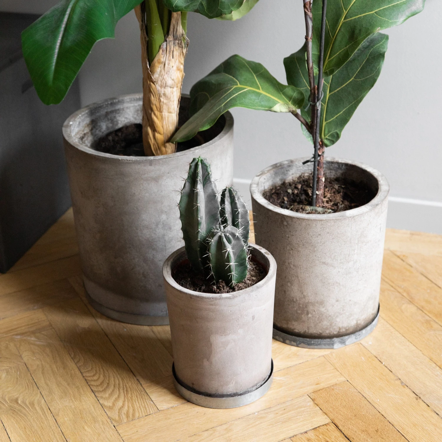 Blumentopf Beton Zylinder Ø24cm 8 Blumentopf Beton Zylinder Ø24cm – Bild 6