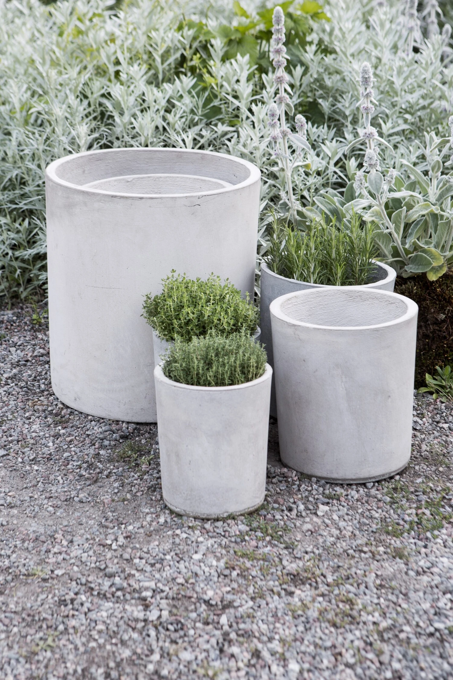 Blumentopf Beton Zylinder Ø31cm 6 Blumentopf Beton Zylinder Ø31cm – Bild 4