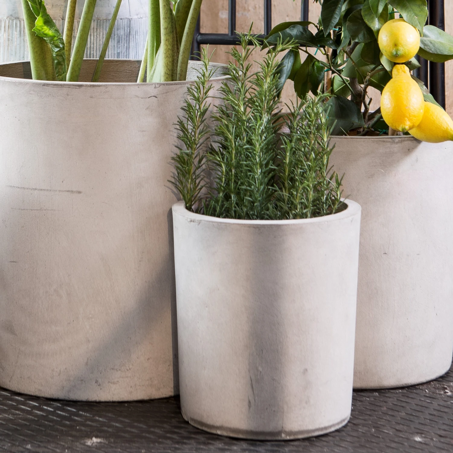 Blumentopf Beton Zylinder Ø31cm 4 Blumentopf Beton Zylinder Ø31cm – Bild 2