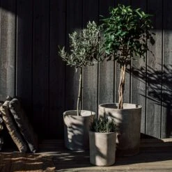 Blumentopf Beton Zylinder Ø31cm 12 Blumentopf Beton Zylinder Ø31cm -Einrichtungsgeschäft 371963 33437 1