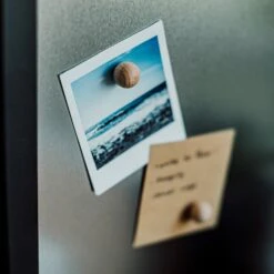 Magnet Holz Rund 6er-Pack -Einrichtungsgeschäft 372558 28801