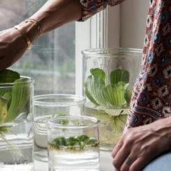 Vase Glas Ø10cm -Einrichtungsgeschäft 373207 13946