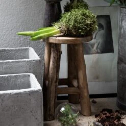 Hocker Teak Klein 10 Hocker Teak Klein -Einrichtungsgeschäft 373260 13886