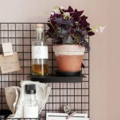 Regal Haken Schwarz -Einrichtungsgeschäft 373536 20959