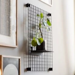 Regal Haken Schwarz -Einrichtungsgeschäft 373536 21324