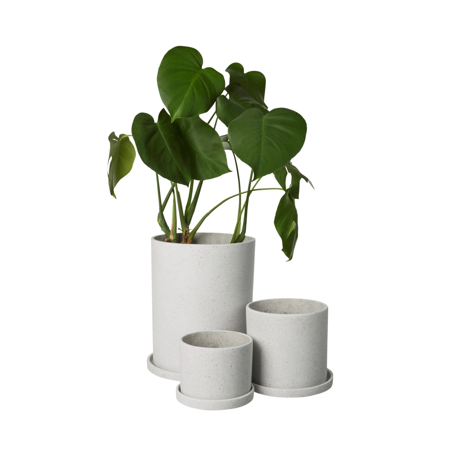 Blumentopf/Teller Polystone Mittel Weiß 5 Blumentopf/Teller Polystone Mittel Weiß – Bild 3