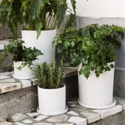 Blumentopf/Teller Polystone Mittel Weiß 12 Blumentopf/Teller Polystone Mittel Weiß -Einrichtungsgeschäft 373542 14851 1