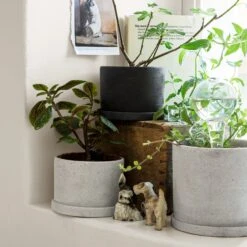 Blumentopf/Teller Polystone Mittel Weiß 13 Blumentopf/Teller Polystone Mittel Weiß -Einrichtungsgeschäft 373542 15732 1