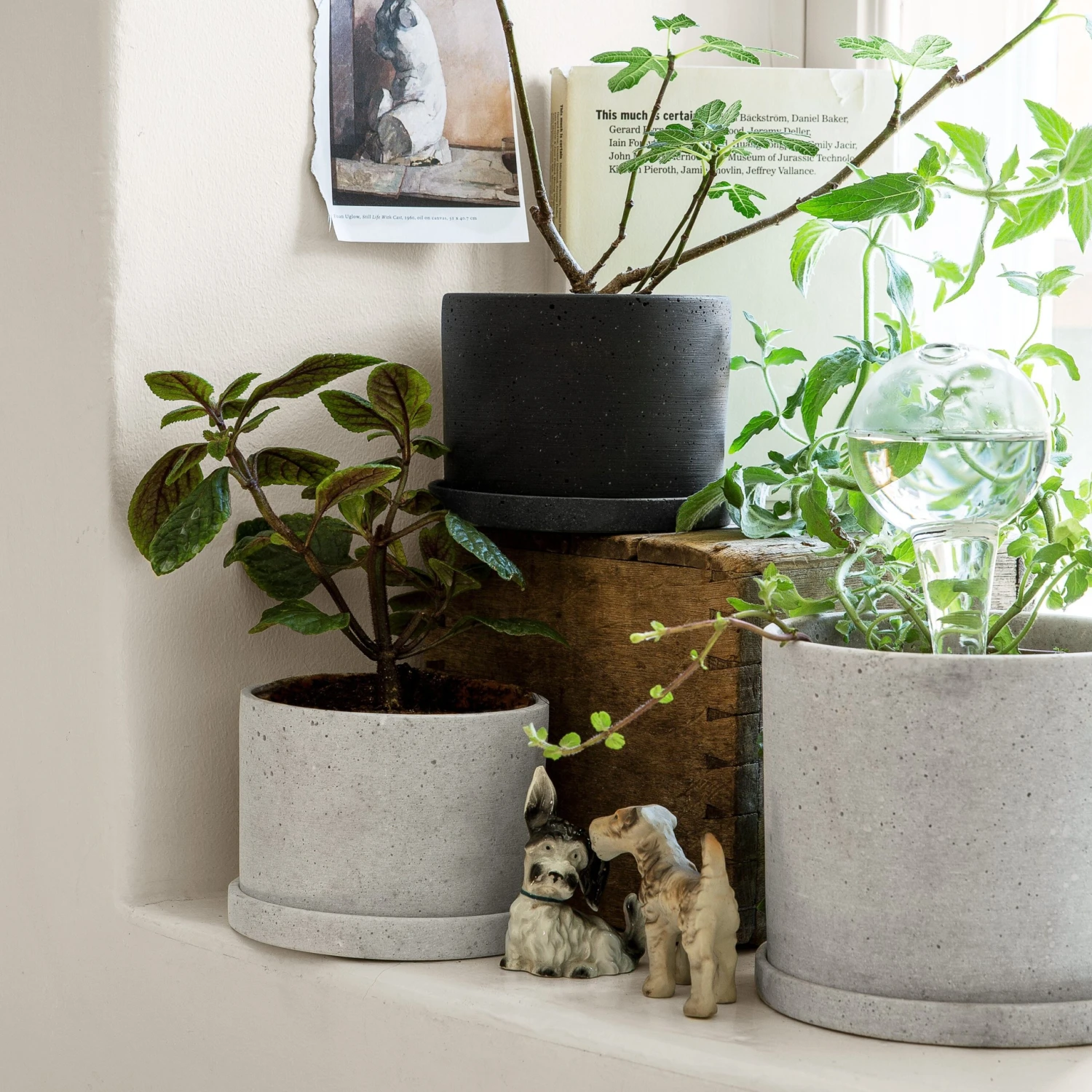 Blumentopf/Teller Polystone Mittel Weiß 8 Blumentopf/Teller Polystone Mittel Weiß – Bild 6