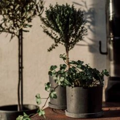 Blumentopf/Teller Polystone Klein Schwarz -Einrichtungsgeschäft 373916 34162