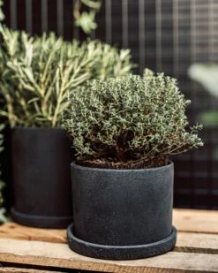 Blumentopf/Teller Polystone Klein Schwarz -Einrichtungsgeschäft 373916 38949