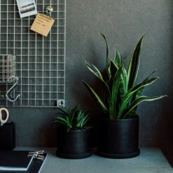 Blumentopf/Teller Polystone Mittel Schwarz -Einrichtungsgeschäft 373917 28814 1