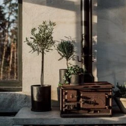 Blumentopf/Teller Polystone Mittel Schwarz -Einrichtungsgeschäft 373917 34163 1