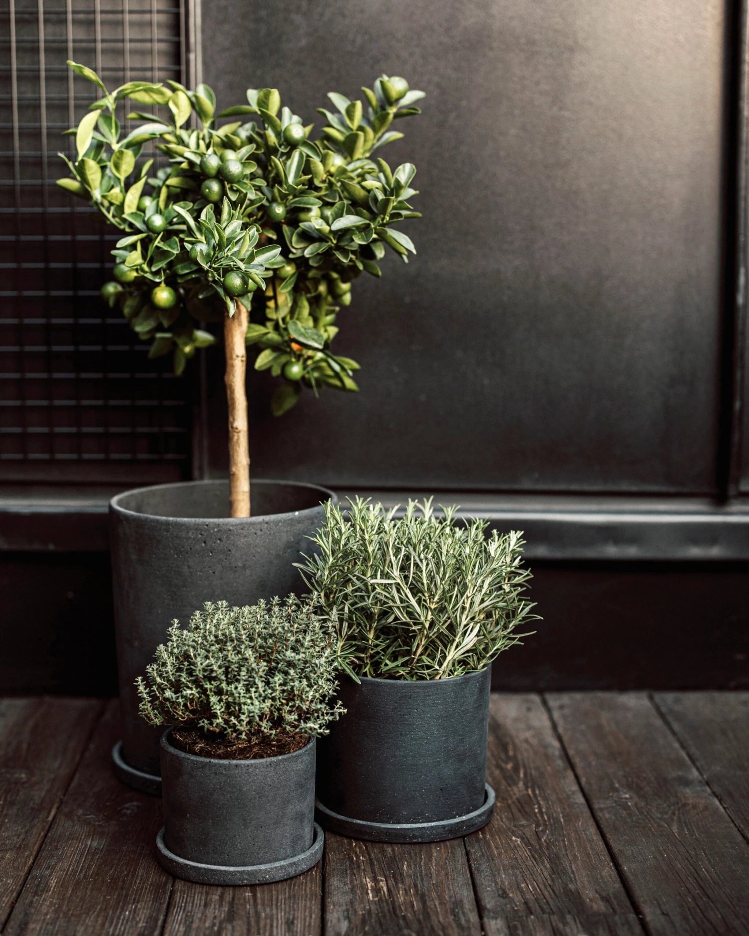 Blumentopf/Teller Polystone Groß Schwarz 5 Blumentopf/Teller Polystone Groß Schwarz – Bild 3