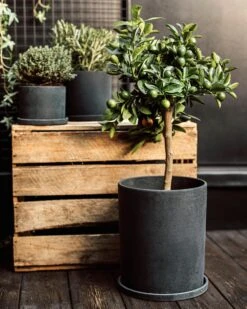 Blumentopf/Teller Polystone Groß Schwarz 9 Blumentopf/Teller Polystone Groß Schwarz -Einrichtungsgeschäft 373918 38951