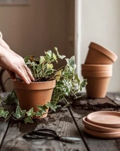 Blumentopf Terrakotta Ø 13,5 Cm -Einrichtungsgeschäft 374451 38947