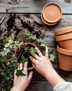 Blumentopf Terrakotta Ø 13,5 Cm -Einrichtungsgeschäft 374451 38948