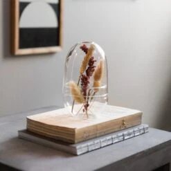 Pflanzenkuppel Glas Klein 12 Pflanzenkuppel Glas Klein -Einrichtungsgeschäft 375457 21323