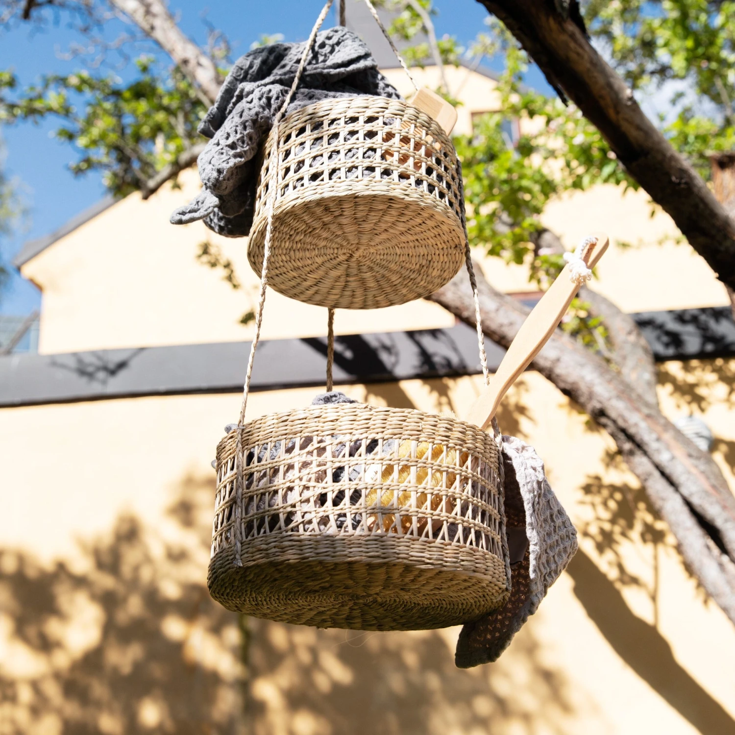 Hanging Basket Seaweed 5 Hanging Basket Seaweed – Bild 3