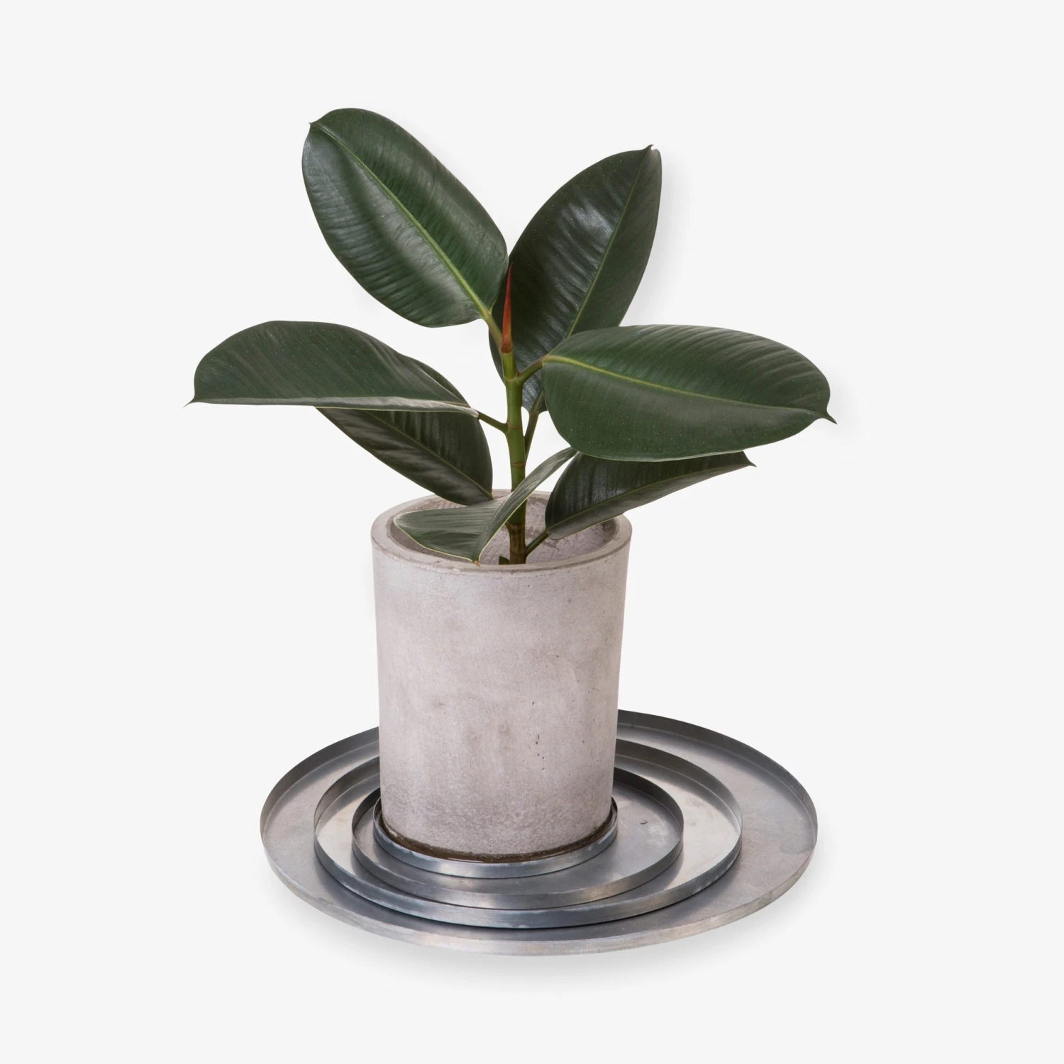 Blumentopfuntersetzer Eisen Silber Ø 30 Cm 5 Blumentopfuntersetzer Eisen Silber Ø 30 Cm – Bild 3