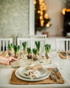 Hyazinthenvase Glatt Klarglas Groß -Einrichtungsgeschäft 376213 36916