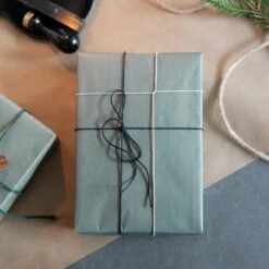 Geschenkpapier Gewachst Hellgrün -Einrichtungsgeschäft 376309 21893 1