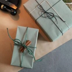 Geschenkpapier Gewachst Hellgrün -Einrichtungsgeschäft 376309 21894 1