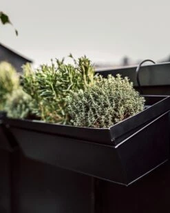 Aufhängung Balkonkasten Metall Schwarz -Einrichtungsgeschäft 400323 38944