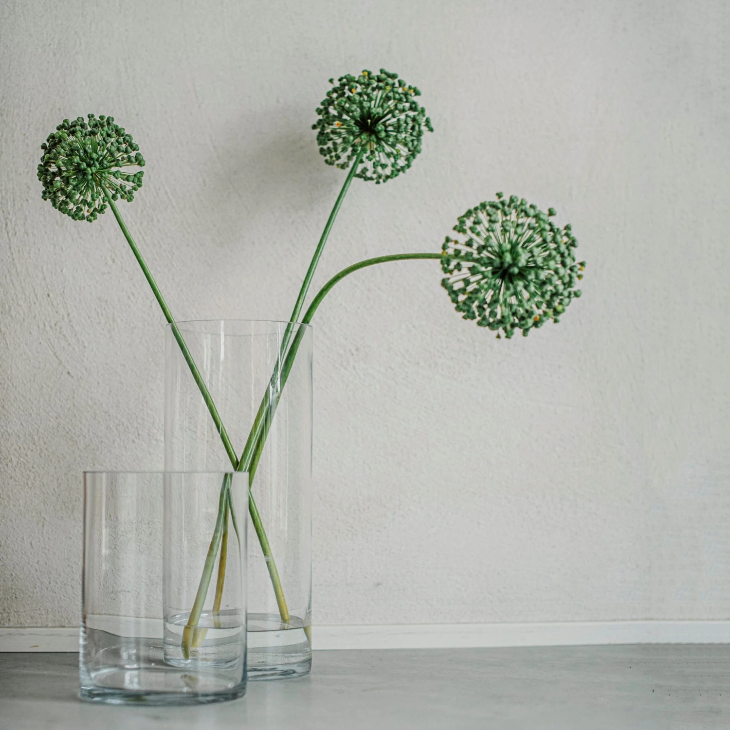 Vase Glas Zylinder H 20 Cm Ø 15 Cm 4 Vase Glas Zylinder H 20 Cm Ø 15 Cm – Bild 2