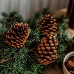 Zapfen Dekoration Groß -Einrichtungsgeschäft 401322 30310