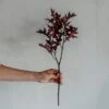 Artificial Branch Autumn 50cm -Einrichtungsgeschäft 401376 29652