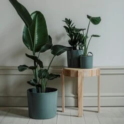 Pot Glazed 13cm Eucalyptus -Einrichtungsgeschäft 401486 31638