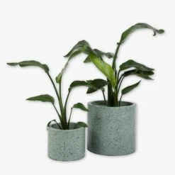 Pot Cement Terrazzo Ø19 Eucalyptus 11 Pot Cement Terrazzo Ø19 Eucalyptus -Einrichtungsgeschäft 401500 31873