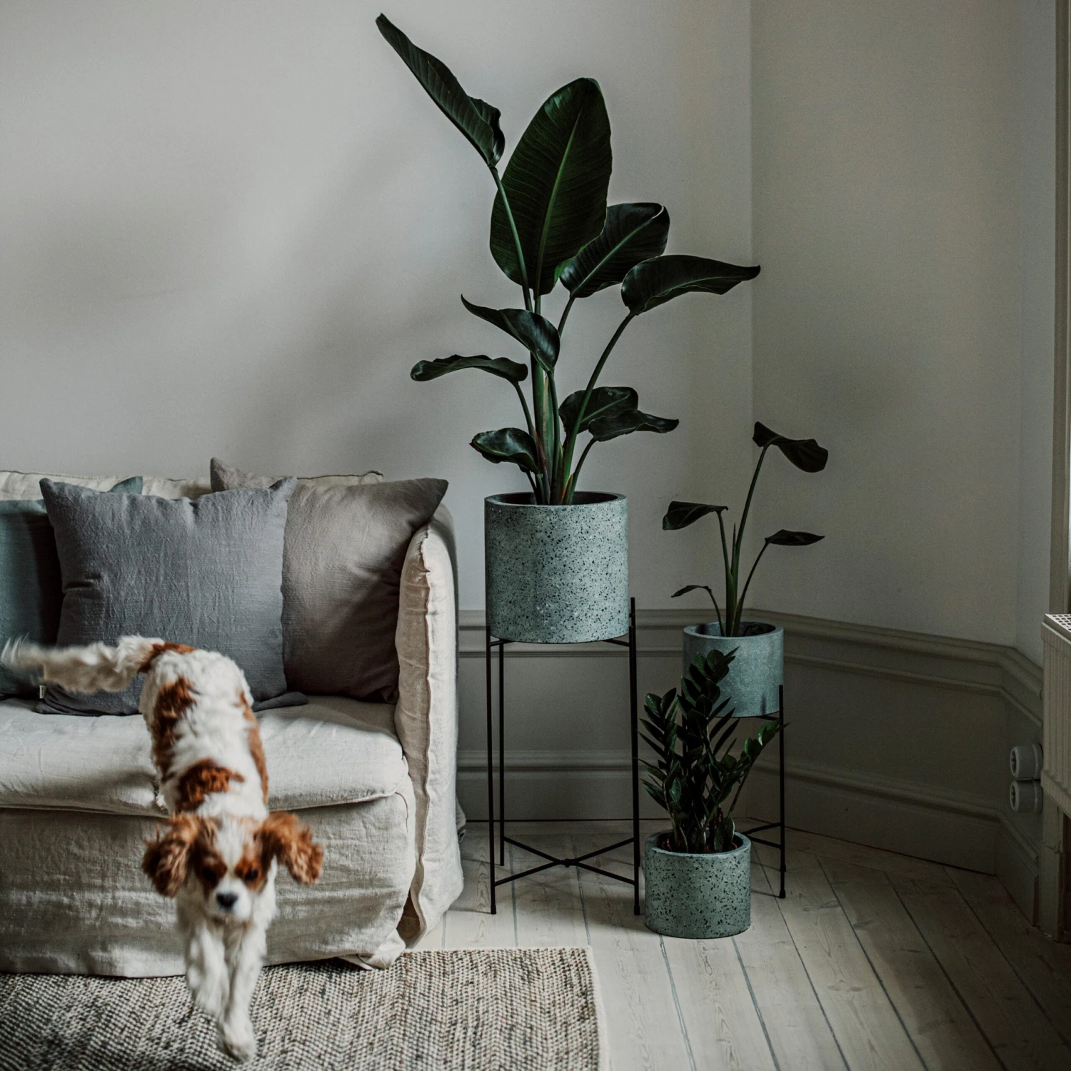 Pot Cement Terrazzo Ø19 Eucalyptus 7 Pot Cement Terrazzo Ø19 Eucalyptus – Bild 5