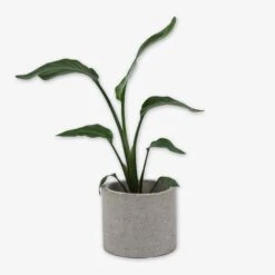 Pot Cement Terrazzo Ø19 Sand -Einrichtungsgeschäft 401501 31883