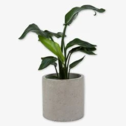 Pot Cement Ø27 Sand 8 Pot Cement Ø27 Sand -Einrichtungsgeschäft 401503 31890